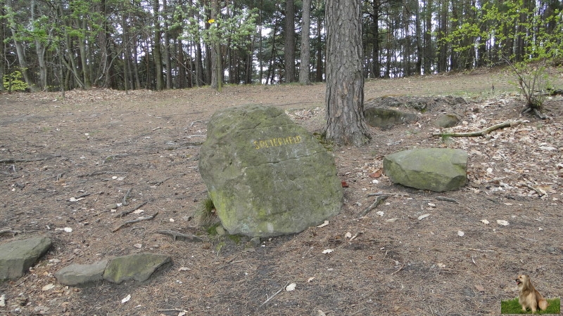 Ritterstein Nr. 248-3 Speierheld.JPG - Ritterstein Nr.248 Speierheld